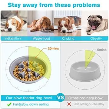 Epetslove 4 in 1 Dog Bowls Set for Healthy Feeding