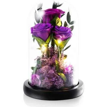 Beauty and The Beast Preserved Rose Gifts for Her