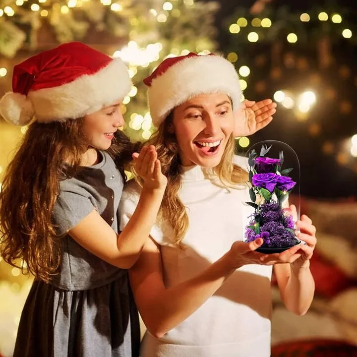 Beauty and The Beast Preserved Rose Gifts for Her