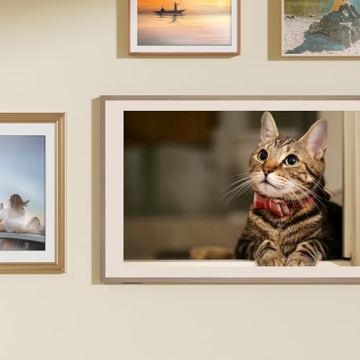 Hisense 55-Inch QLED CanvasTV with Art Mode & Dolby Vision