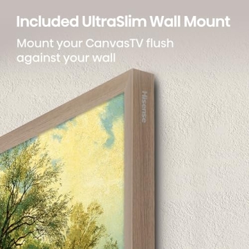 Hisense 55-Inch QLED CanvasTV with Art Mode & Dolby Vision