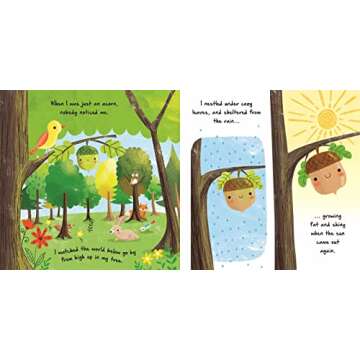 Nature Stories: Little Acorn - Discover an Amazing Story from the Natural World: Padded Board Book