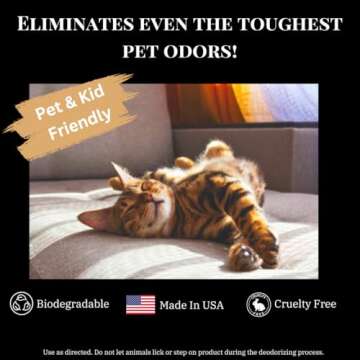 Natural Carpet Deodorizing Powder for Safe Home Freshness