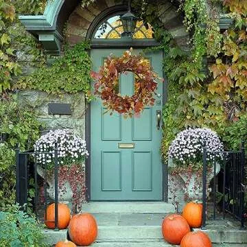 WreathDream 20 inch Artificial Fall Wreath Autumn Eucalyptus Wreath with Multicolor Eucalyptus Leaves,Berry,Dry Vine Branches for Front Door Indoor Outdoor Home Farmhouse Thanksgiving Decor