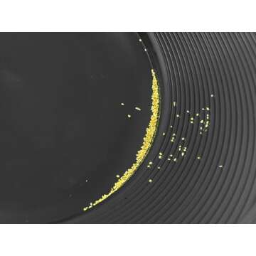 Gold Rush Panning Kit; 10-Piece Prospecting Tools