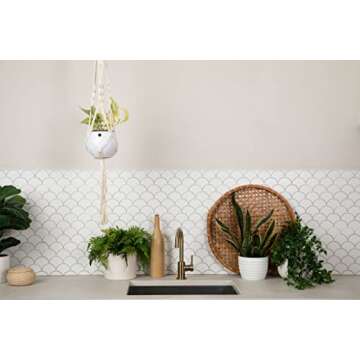 Premium Organic Potting Soil for Indoor Plants