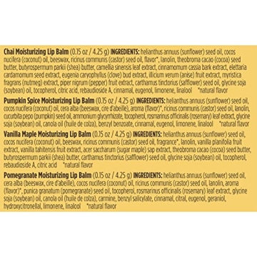 Burt's Bees Natural Lip Balm Winter Variety Pack - 4 Tubes