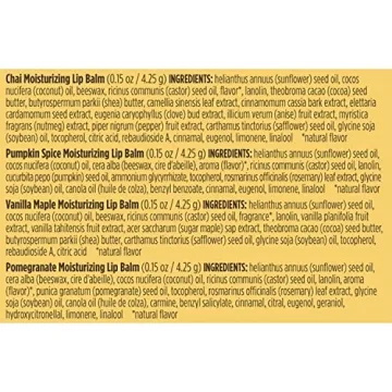 Burt's Bees Natural Lip Balm Winter Variety Pack - 4 Tubes