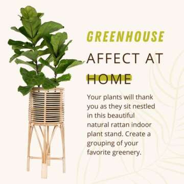 KOUBOO Rattan Indoor Plant Stand, Medium, Natural Planter, Brown