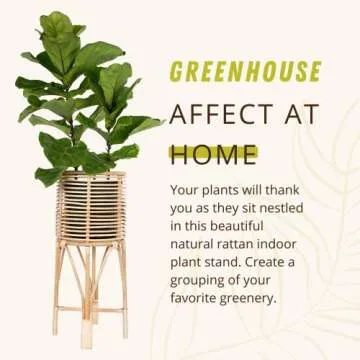 Elegant KOUBOO Rattan Indoor Plant Stand for Your Home