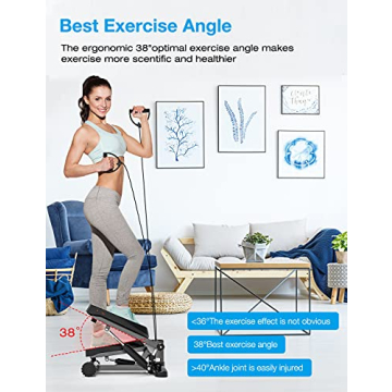 DACHUANG Mini Exercise Stepper for Home Office Fitness