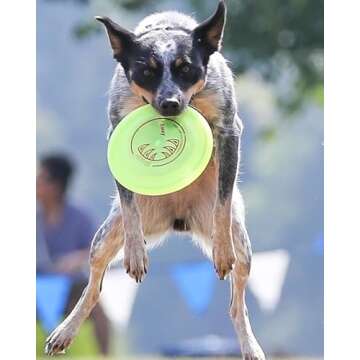 Hyperflite Jawz Dog Flying Disc - World's Toughest Training Dog Toy. Best Competition Flying Disc Toy for Pets, Puncture Resistant - 8.75 Inch