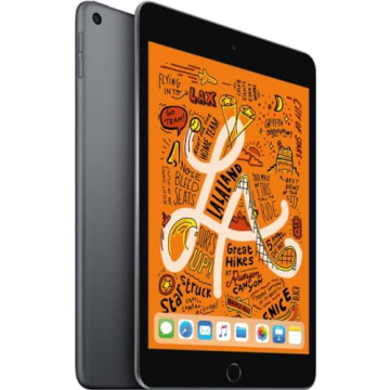 2019 Renewed Apple iPad Mini 7.9-inch WiFi 256GB