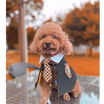 Stylish Dog Cat Cape for Halloween and Christmas Celebrations