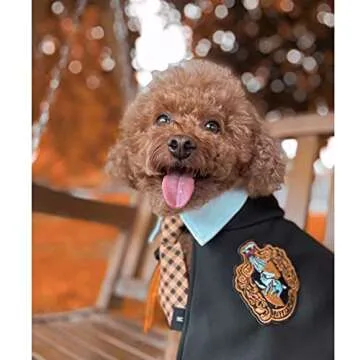 Stylish Dog Cat Cape for Halloween and Christmas Celebrations