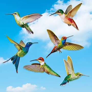 Blulu Hummingbird Window Clings - Colorful Decals for Bird Safety