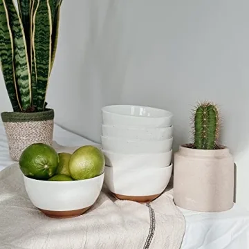 Mora Ceramic Dessert Bowls Set of 6 for Every Meal