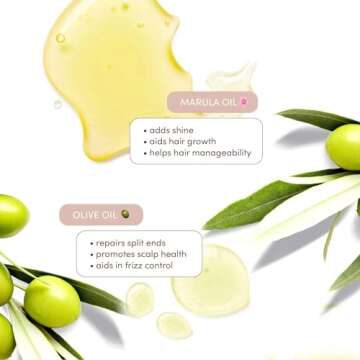 Mizani True Textures Moisture Replenish Shampoo | Smooths & Hydrates | with Coconut Oil | Sulfate & Paraben-Free | for Curly Hair | 16.9 Fl Oz