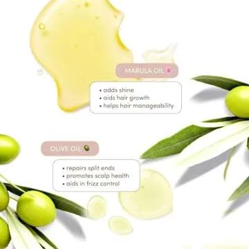 Mizani True Textures Moisture Replenish Shampoo | Smooths & Hydrates | with Coconut Oil | Sulfate & Paraben-Free | for Curly Hair | 16.9 Fl Oz