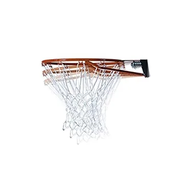 Versatile Portable Basketball System for All Ages