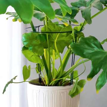 SORANGEUN 10 Pack Peony Cages and Supports, 10" (W) x 16"(H) Plant Support, Heavy-Duty Metal Plant Support Stakes, Plant Stakes for Outdoor & Indoor Plants, Perfect for Flowers and Vegetable