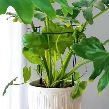 SORANGEUN 10 Pack Peony Cages and Supports, 10" (W) x 16"(H) Plant Support, Heavy-Duty Metal Plant Support Stakes, Plant Stakes for Outdoor & Indoor Plants, Perfect for Flowers and Vegetable