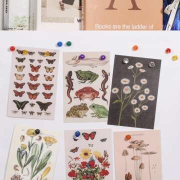 Buy 90 PCS Magnetic Push Pin Magnets in Assorted Colors