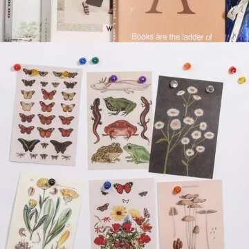 Buy 90 PCS Magnetic Push Pin Magnets in Assorted Colors