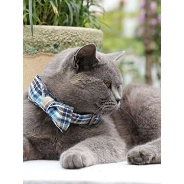 Lionet Paws Dog and Cat Collar with Bowtie Grid Collar Plastic Buckle Light Adjustable Collars for Small Medium Large Dogs