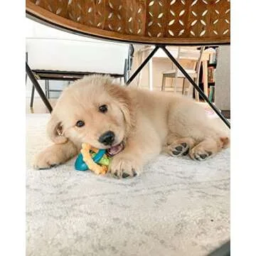 Nylabone Teething Rings Power Chew Toy for Dogs, Dog Toys for Aggressive Chewers, Bacon Flavor, Smal...