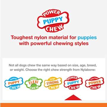 Nylabone Teething Rings Power Chew Toy for Dogs, Dog Toys for Aggressive Chewers, Bacon Flavor, Small - Up to 25 Ibs, 1 Count