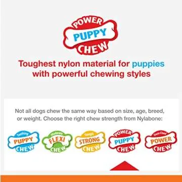 Nylabone Teething Rings Power Chew Toy for Dogs, Dog Toys for Aggressive Chewers, Bacon Flavor, Small - Up to 25 Ibs, 1 Count