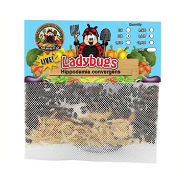 300 Live Ladybugs - Good Bugs - Ladybugs - Guaranteed Live Delivery!