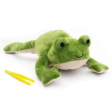 KiwiCo Froggie Lab Dissection Plush Anatomy Toy for Kids