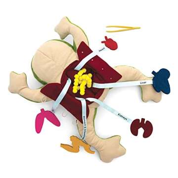 KiwiCo Froggie Lab Dissection Plush Anatomy Toy for Kids