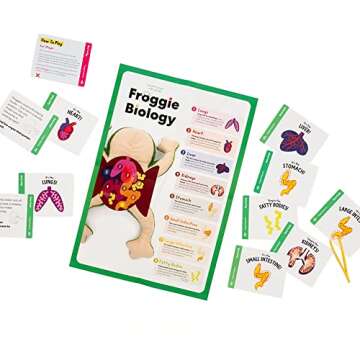 KiwiCo Froggie Lab Dissection Plush Anatomy Toy for Kids