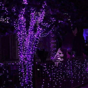 Dazzle Bright Fairy Lights - 20 FT LED Purple String