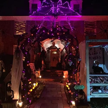 Dazzle Bright Fairy Lights - 20 FT LED Purple String