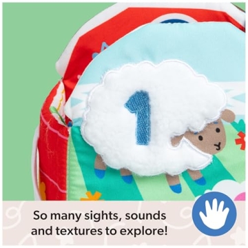 Ms. Rachel Sensory Learning Farm for Babies 3-18 Months