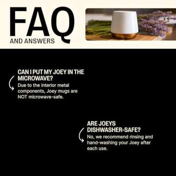 Fellow Big Jo' Double Wall Ceramic Coffee Mug - Refined and Sophisticated, Matte Black, Single 12 oz Cup