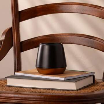 Fellow Big Jo' Double Wall Ceramic Coffee Mug - Refined and Sophisticated, Matte Black, Single 12 oz Cup