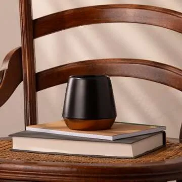 Fellow Big Jo' Double Wall Ceramic Coffee Mug - Refined and Sophisticated, Matte Black, Single 12 oz Cup