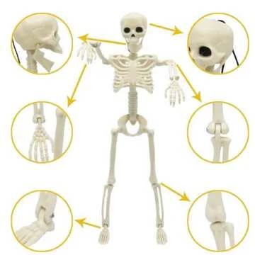 CAMIRUS 5PACK Halloween Skeleton Decorations, 16" Full Body Mini Skeleton Posable Joints Poseable Sk...