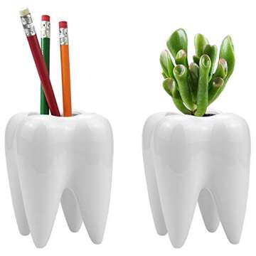 Hedume Tooth Shaped Planter Pots - Cute Ceramic Desk Decor