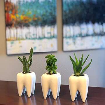 Hedume Tooth Shaped Planter Pots - Cute Ceramic Desk Decor
