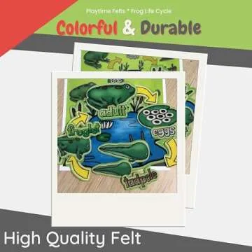 Playtime Felts Frog Life Cycle 14 Adorable PRECUT & Ready to Play Felt Figures for Flannel Board Teaching for Toddlers, Preschoolers and Kindergarten - Durable Felt Characters