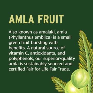 Banyan Botanicals Amla (Amalaki) Tablets – Organic Emblica Officinalis – Natural Source of Vitamin C and Antioxidants – Supports Digestion and Cleansing* – 90 Tablets – Non GMO Sustainably Sourced