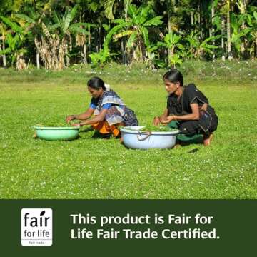 Banyan Botanicals Amla (Amalaki) Tablets – Organic Emblica Officinalis – Natural Source of Vitamin C and Antioxidants – Supports Digestion and Cleansing* – 90 Tablets – Non GMO Sustainably Sourced