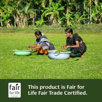 Banyan Botanicals Amla (Amalaki) Tablets – Organic Emblica Officinalis – Natural Source of Vitamin C and Antioxidants – Supports Digestion and Cleansing* – 90 Tablets – Non GMO Sustainably Sourced