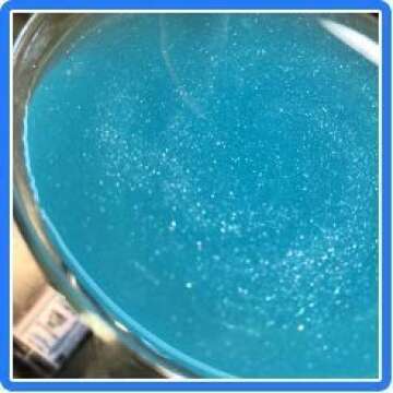 Edible Glitter for Drinks • Shiny Silver Glitter, Shimmer Beverage Dust for Cocktails, Beer, Wine and More - Original Silver - 3 gram Shaker